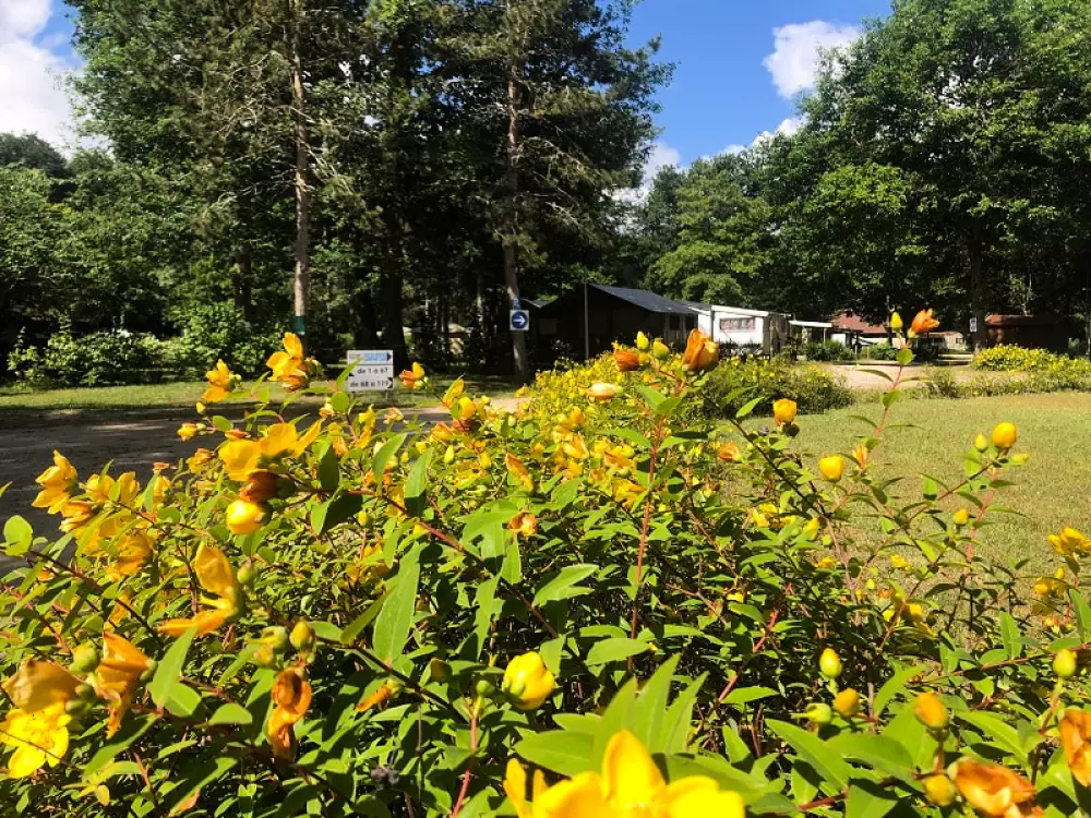 Campsite Sezonova Etang de la Vallée.