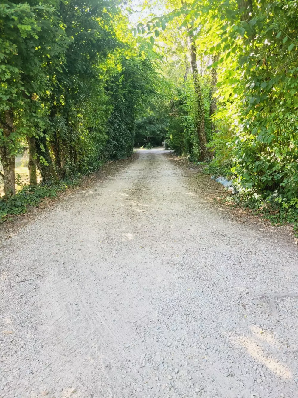 Camping El Trébol de 4 Hojas 3 Estrellas★★★