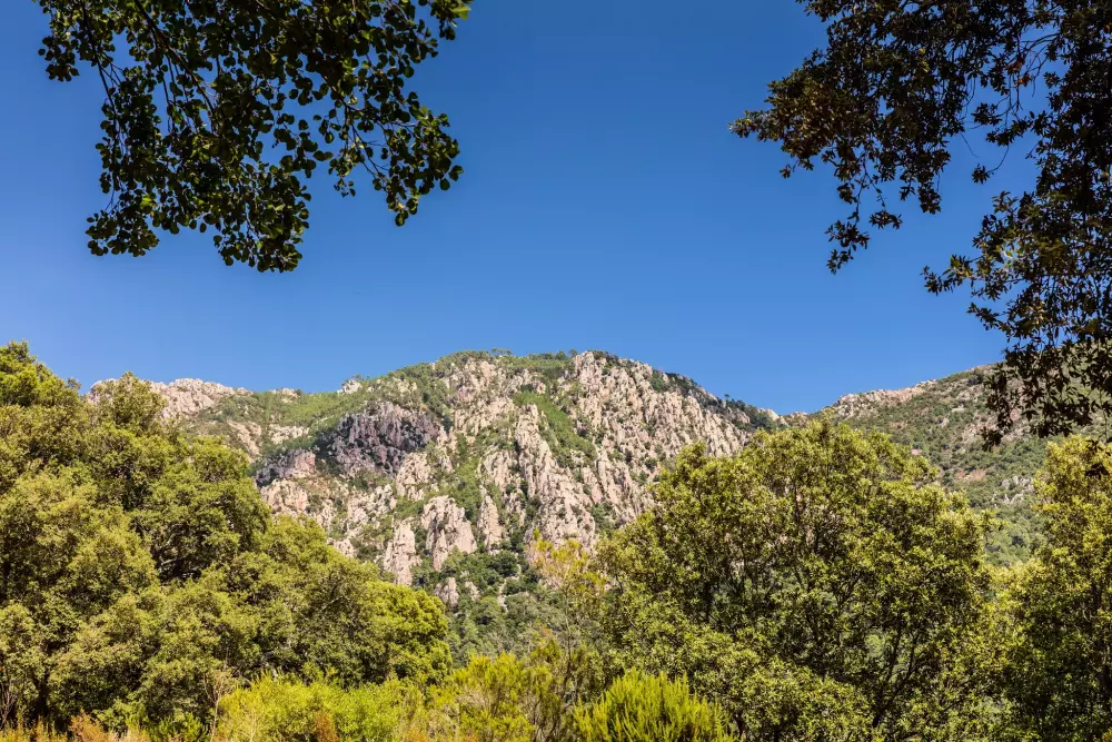 Camping Acqua e Sole