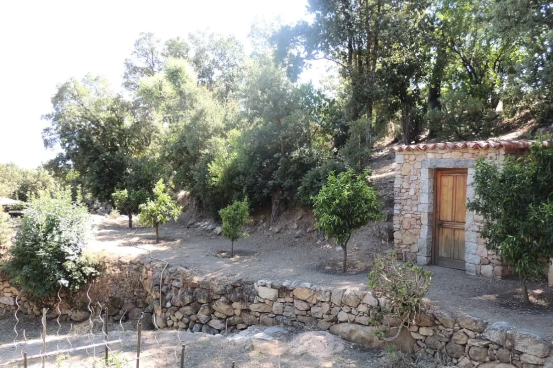 Residence Ortu Di Pisettu -1