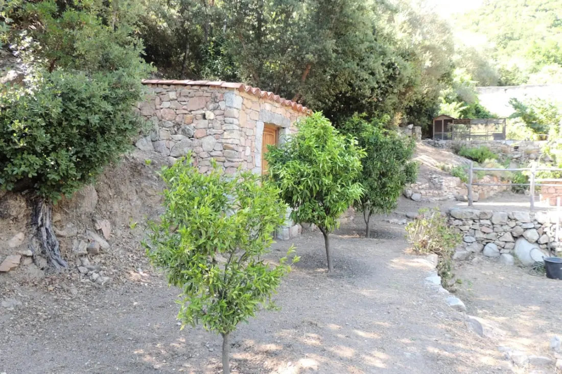 Residence Ortu Di Pisettu -1