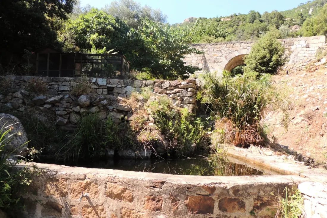 Residence Ortu Di Pisettu -1