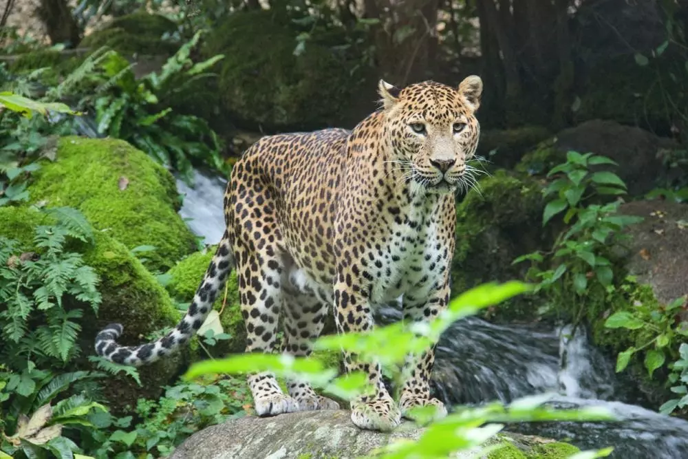 Hoteller i nærheden af The Valley of Vigne