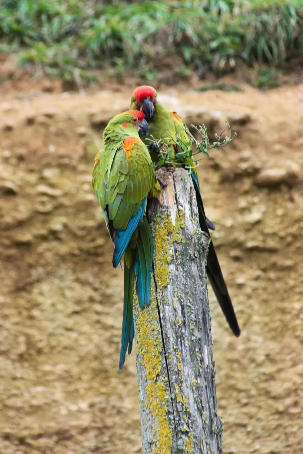 Hoteller i nærheden af The Valley of Vigne