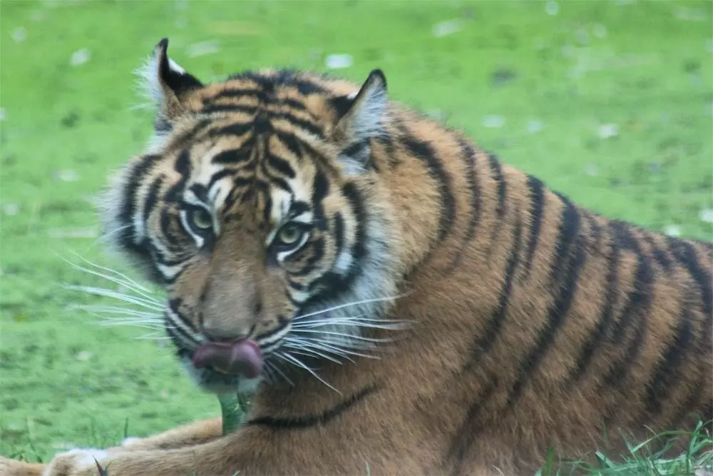 Hoteller i nærheden af The Valley of Vigne