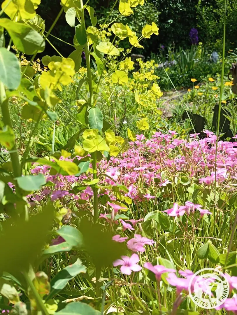 Gîte de France Het is allemaal groen 4 oren