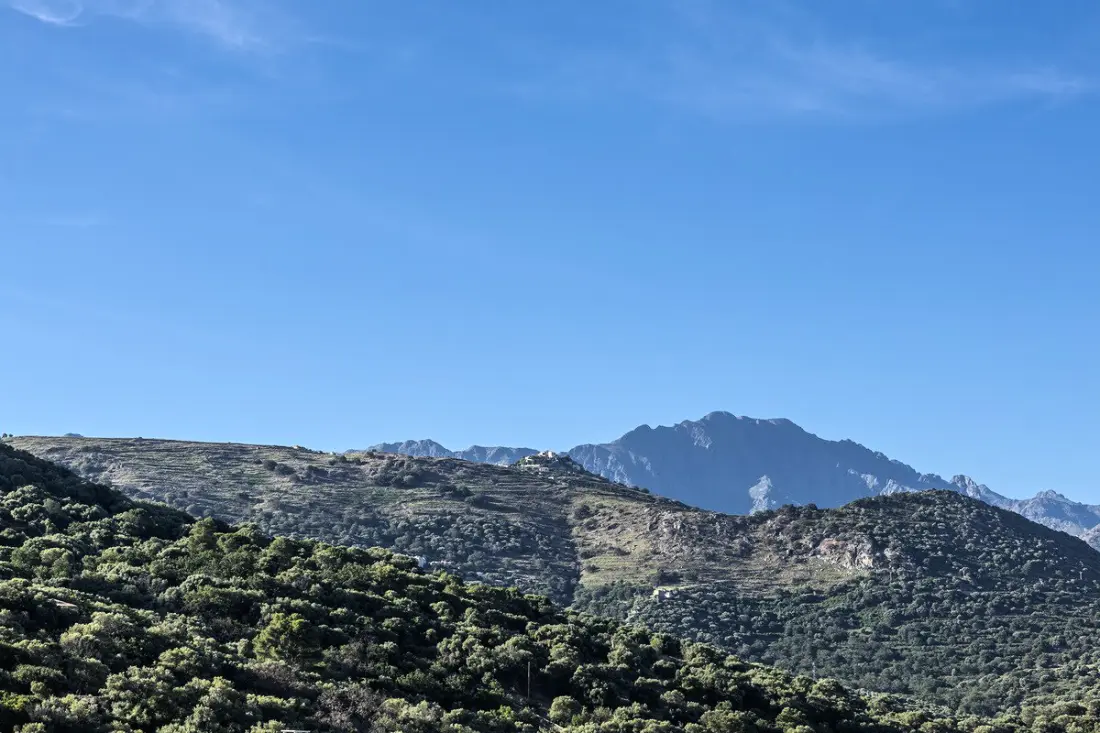 Villa Davia