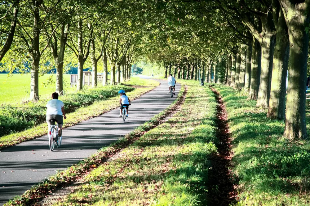 Base de Loisirs - Camping du Lac Cormoranche 4 étoiles★★★★