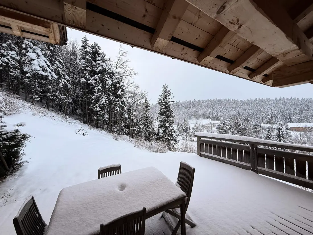 Chalet Des Bois