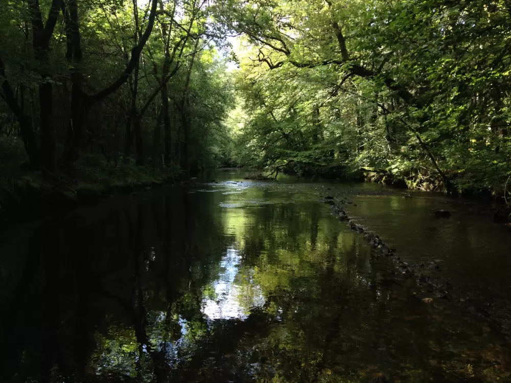 Campingplatz Au Bois de Calais3 Sterne★★★