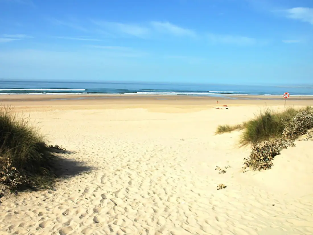 Camping Orbitur Costa de Caparica3 Stars★★★