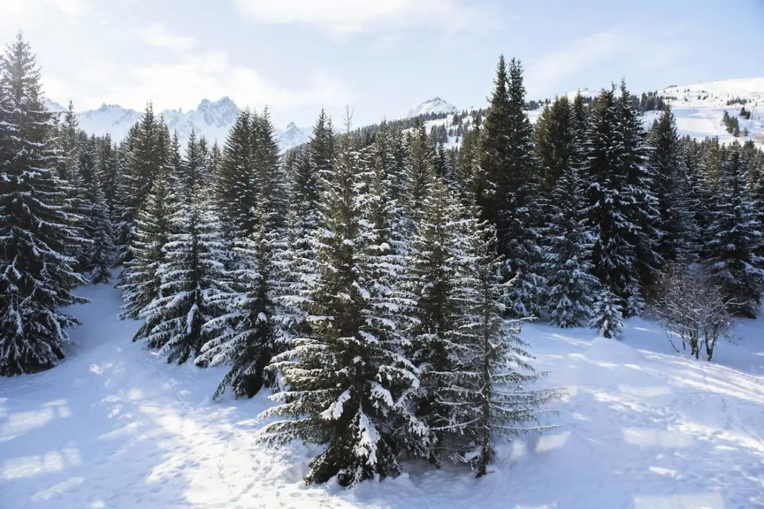 Charming Ski Apartman a Courchevel 1850-ben