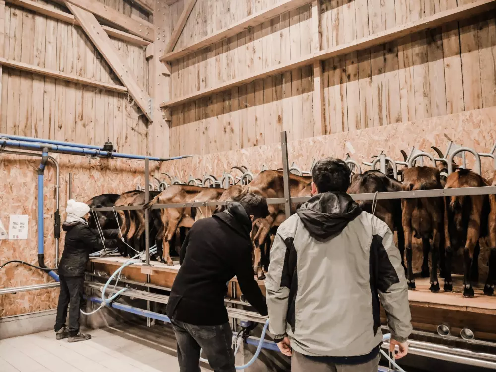 Rilly - Parcel Tiny House