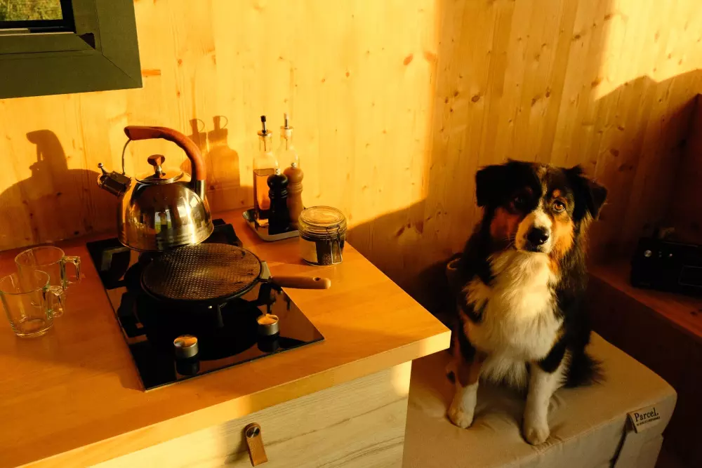 Rilly - Parcel Tiny House