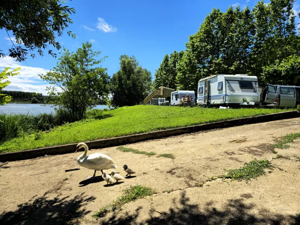 Kemping La Clé de Saône 3 Gwiazdy★★★