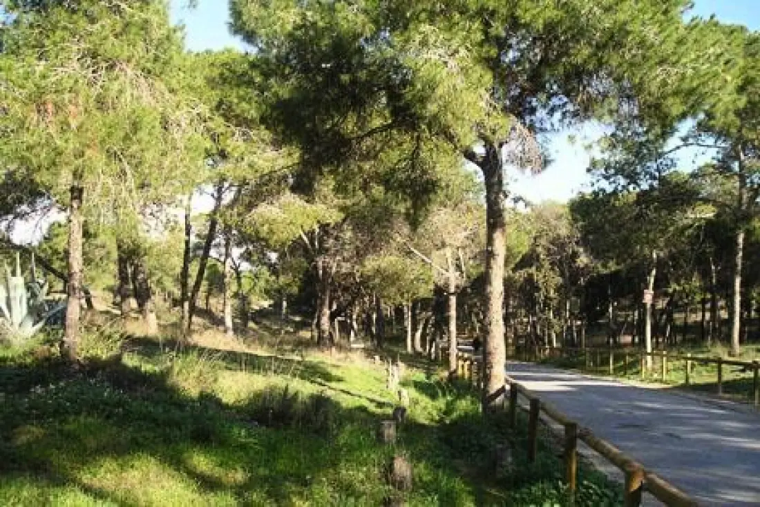 Alannia Costa Blanca 5 Csillagok★★★★★