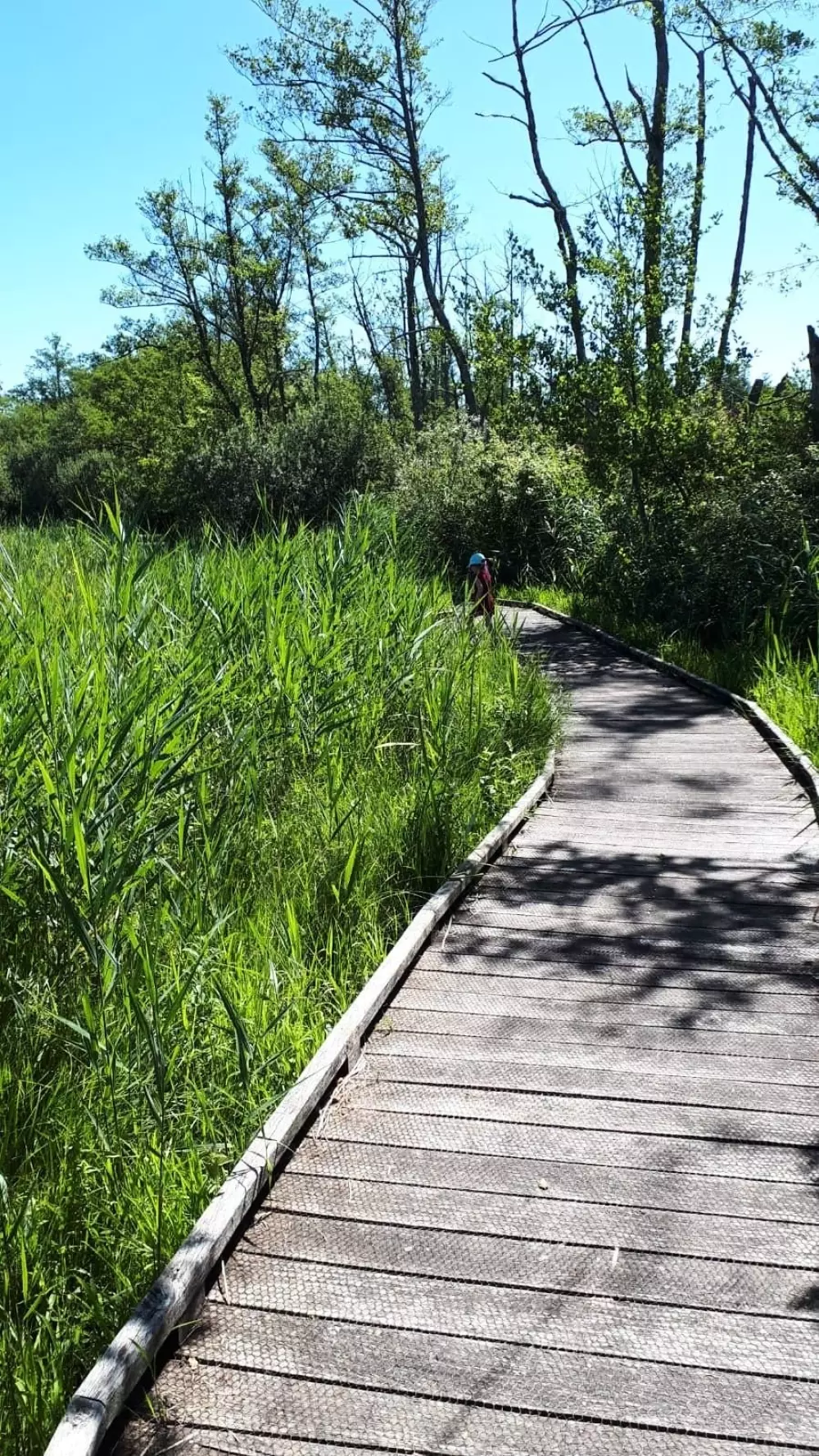 Camping Le Colombier 3 étoiles★★★