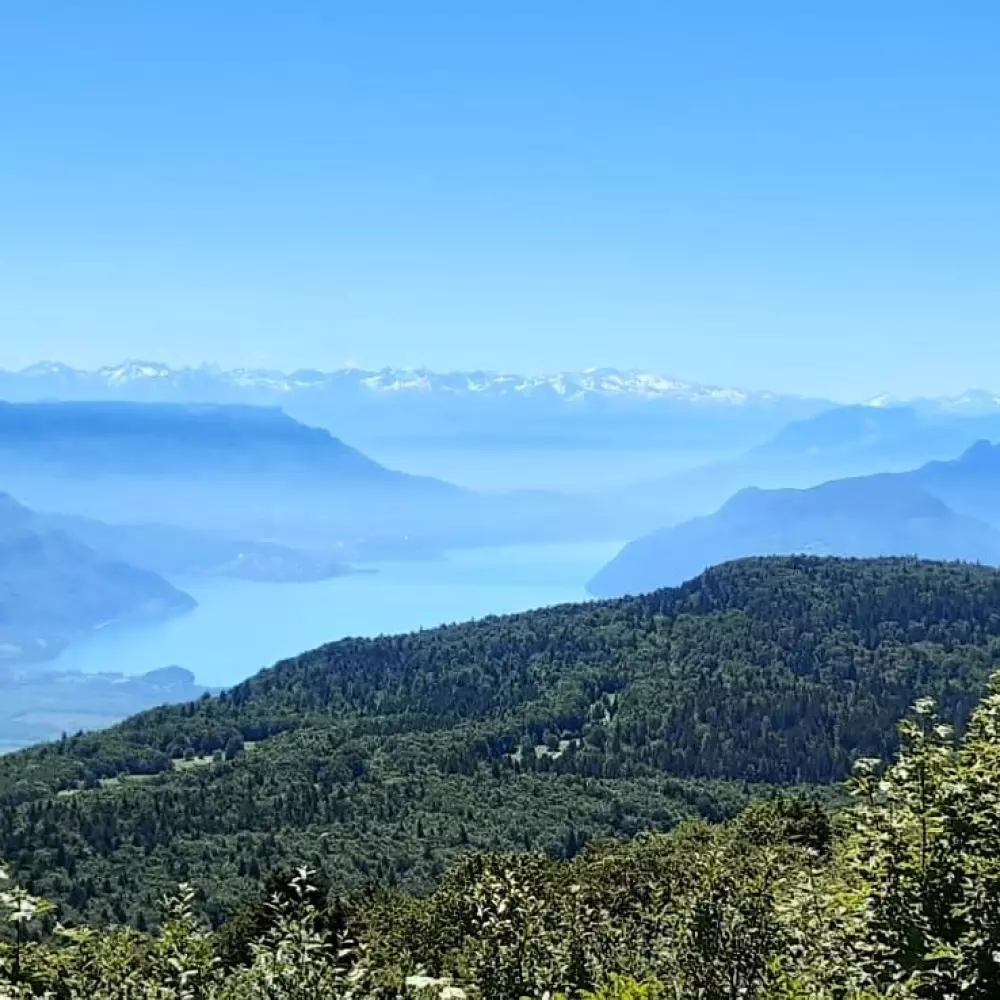 Camping Le Colombier 3 étoiles★★★