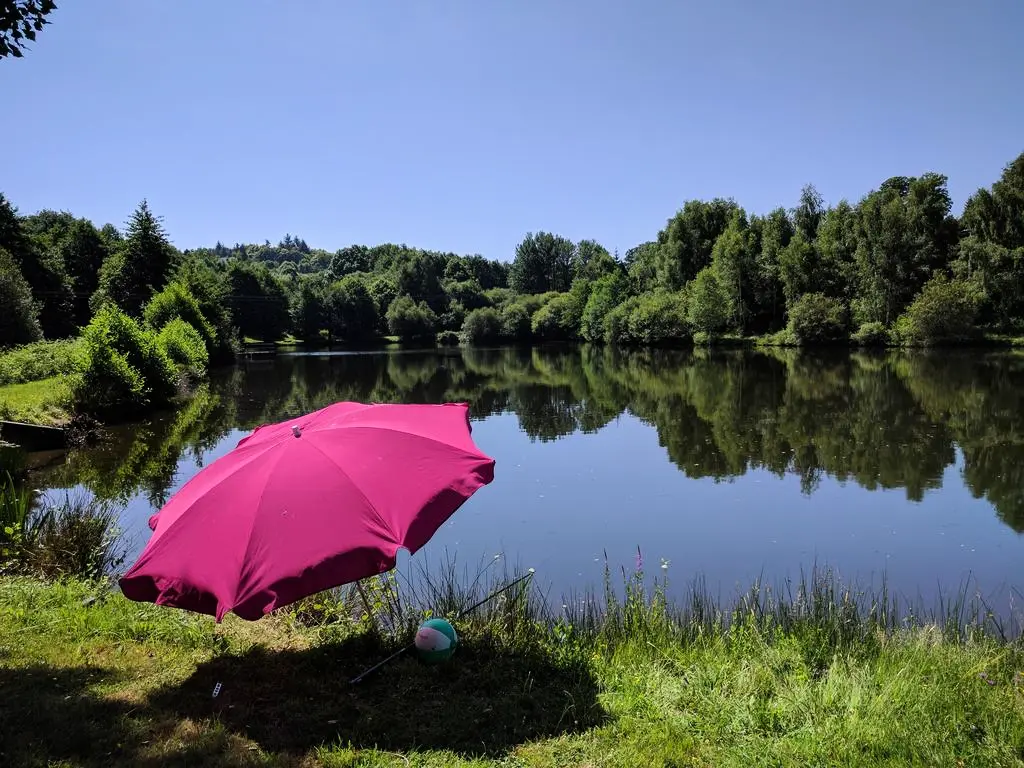 Gîte de France De kastanjebomen 3 oren
