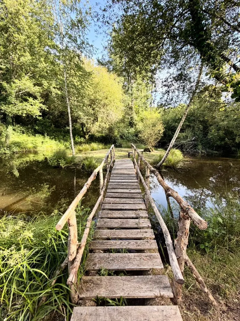 Gîte de France Les frênes 3 oren
