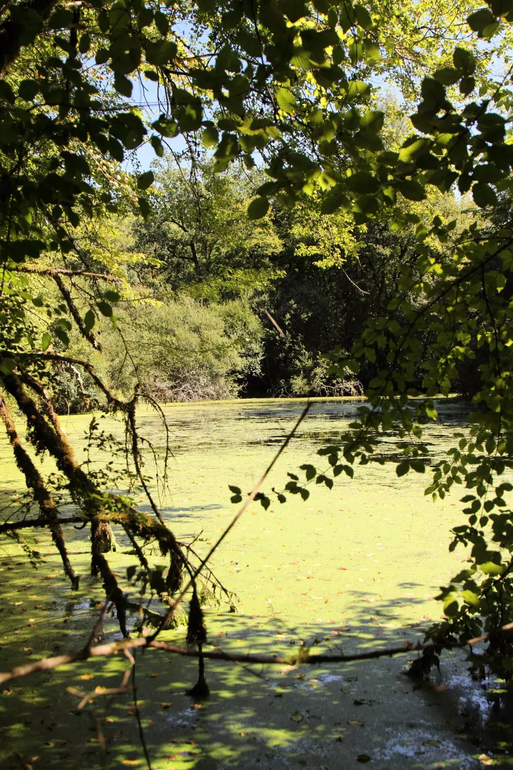 Campsite La Peyrugue 3 Stars★★★