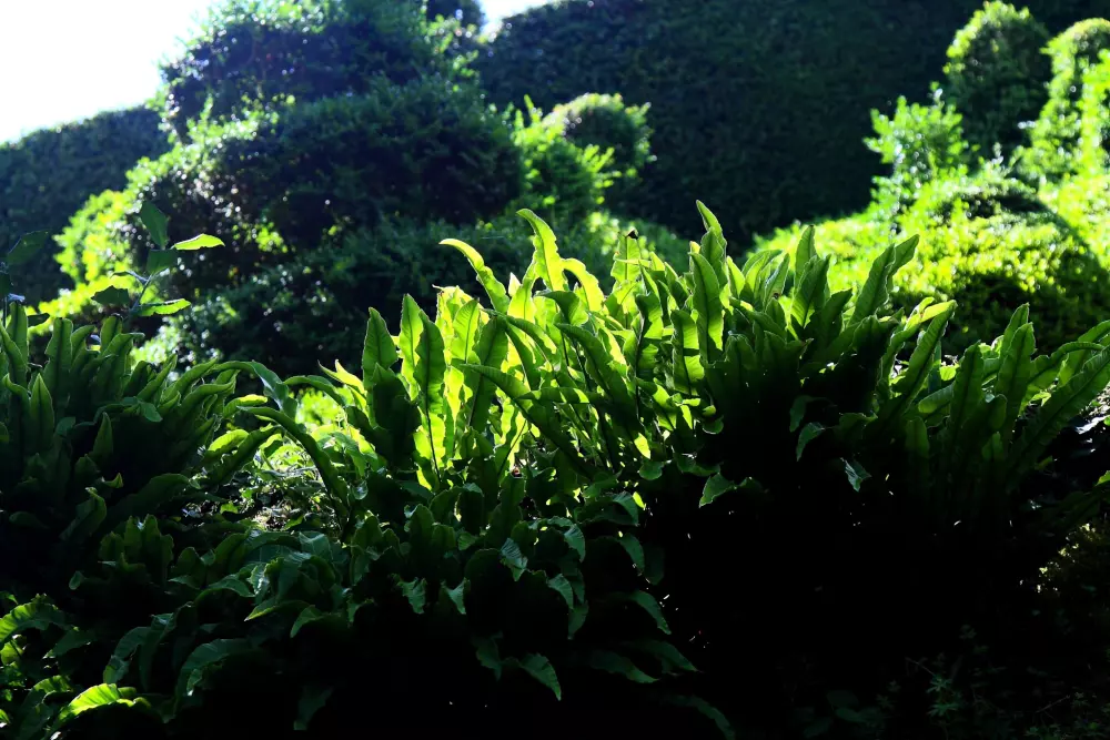 Campsite La Peyrugue 3 Stars★★★