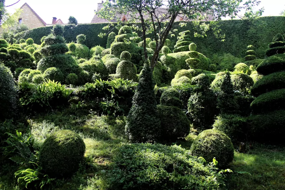 Campsite La Peyrugue 3 Stars★★★