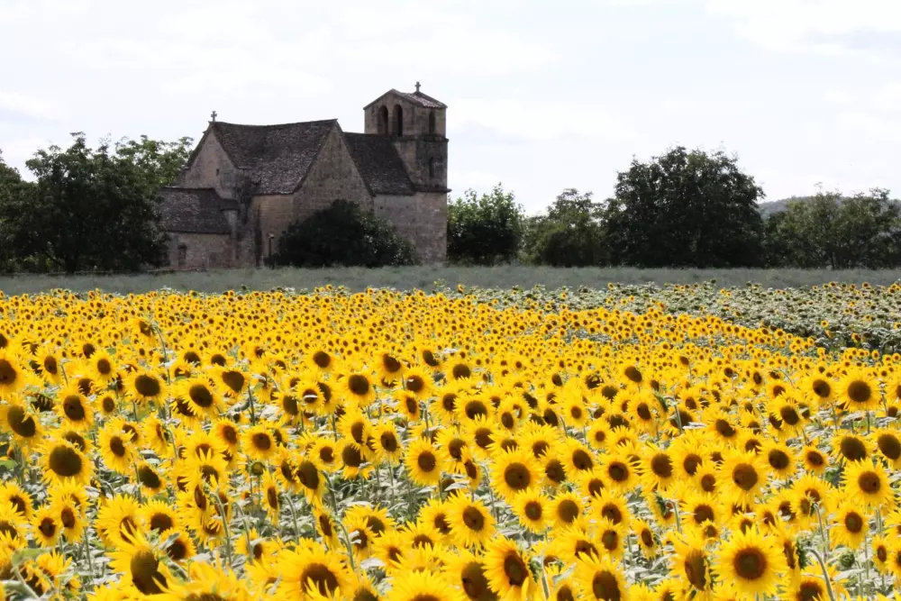 Campsite La Peyrugue 3 Stars★★★