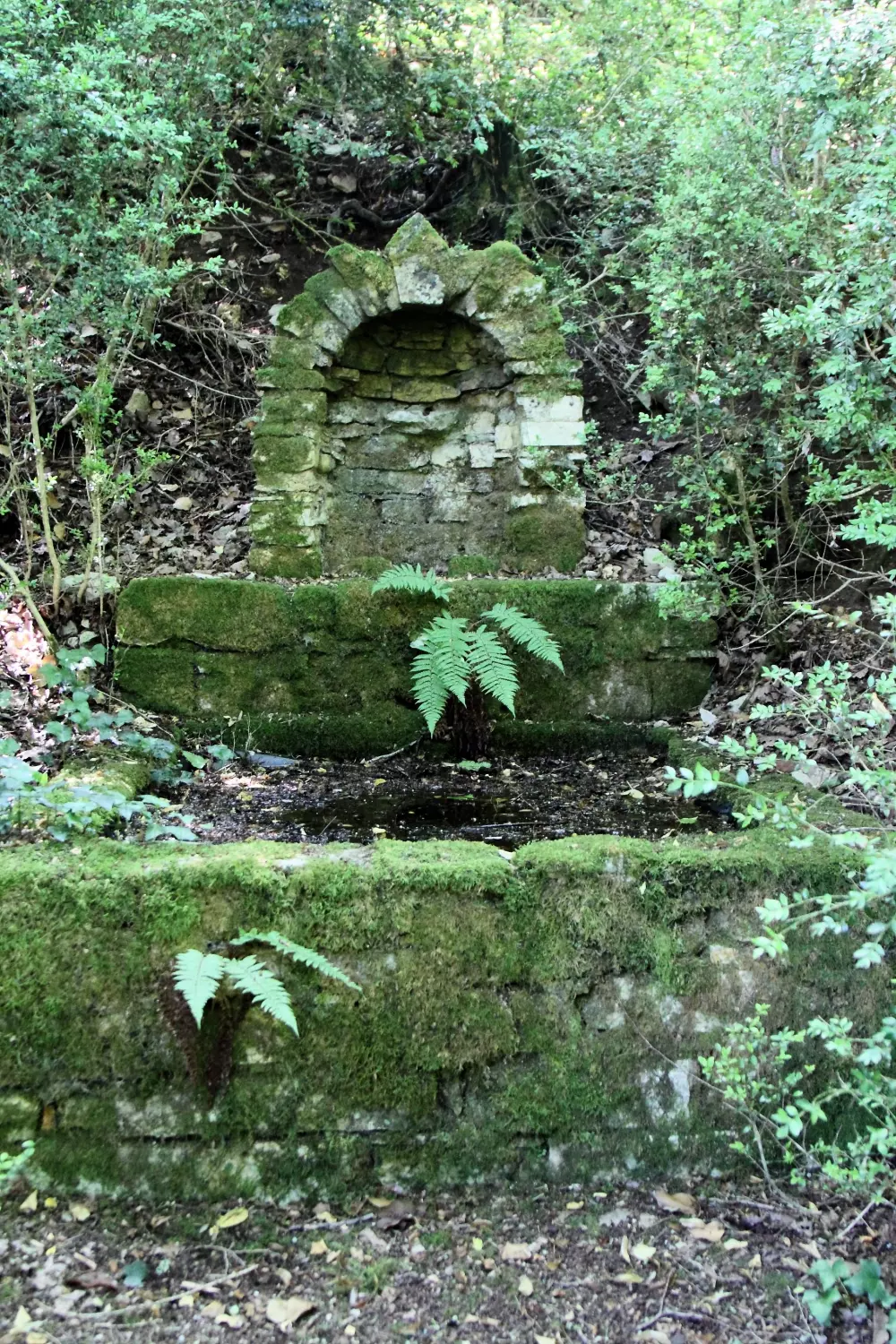 Campsite La Peyrugue 3 Stars★★★