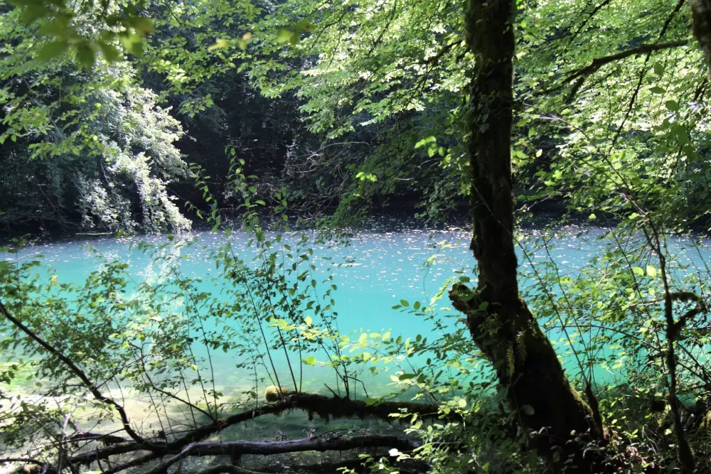 Campsite La Peyrugue 3 Stars★★★