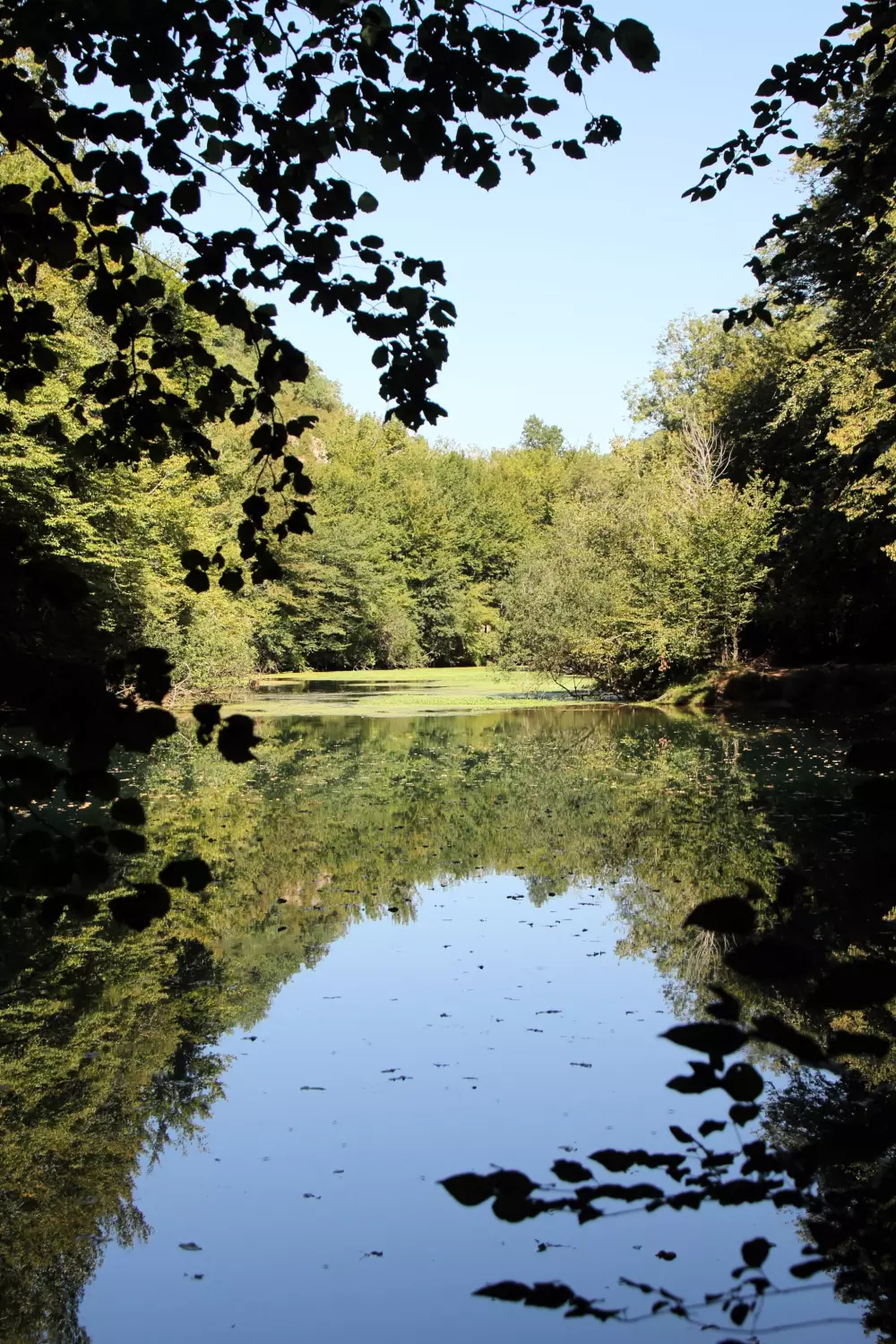 Campsite La Peyrugue 3 Stars★★★