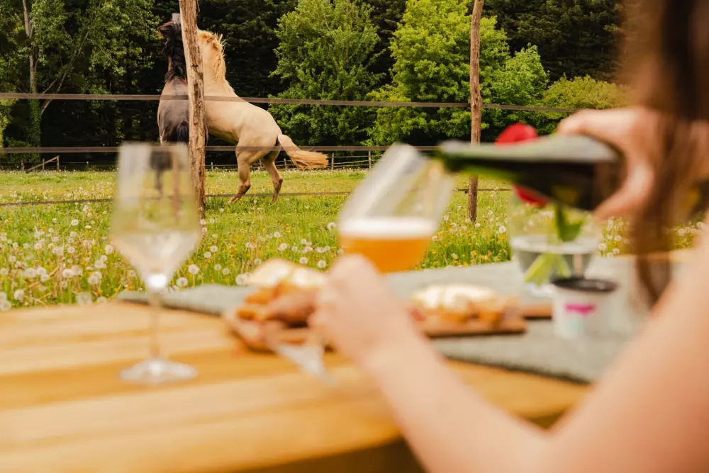 Puits Carré - Parcel Tiny House