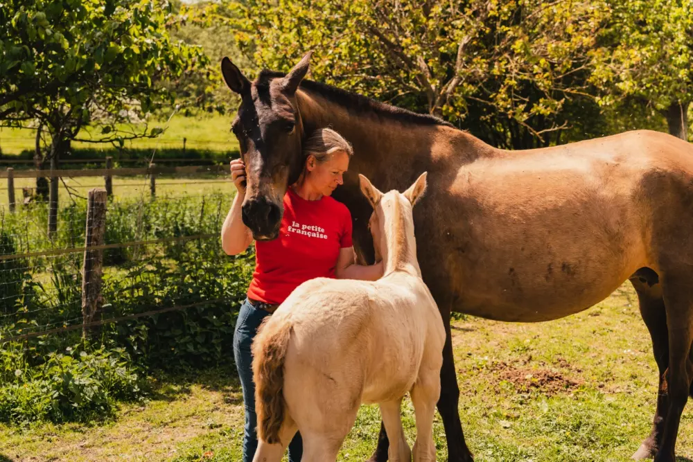 Puits Carré - Parcel Tiny House