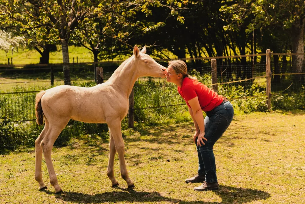 Puits Carré - Parcel Tiny House