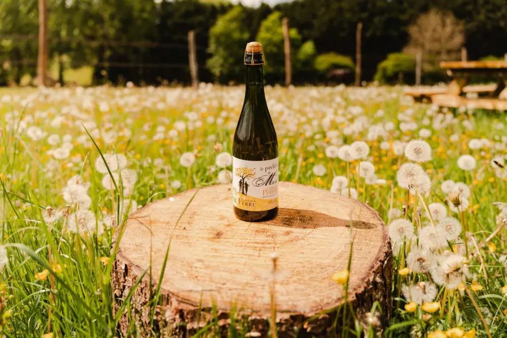 Puits Carré - Parcel Tiny House