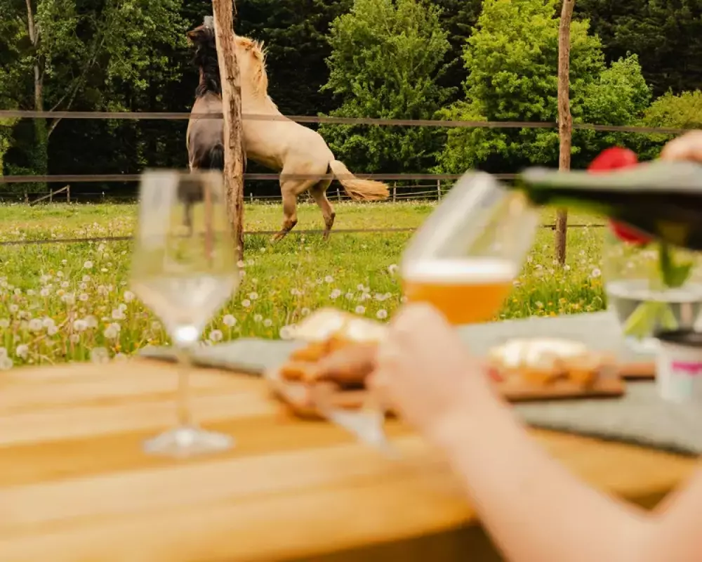 Puits Carré - Parcel Tiny House