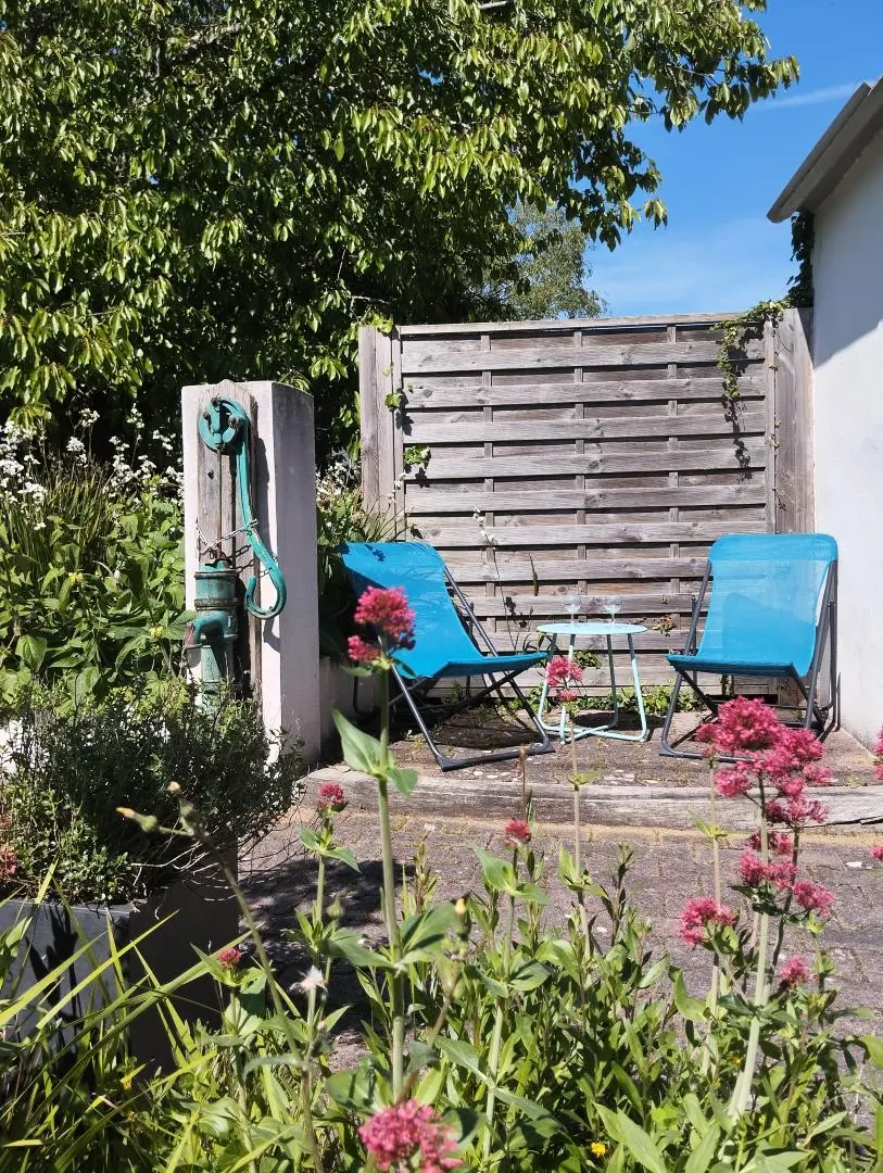 Gîte de France Der Säbelschnäbler mit 3 Ähren