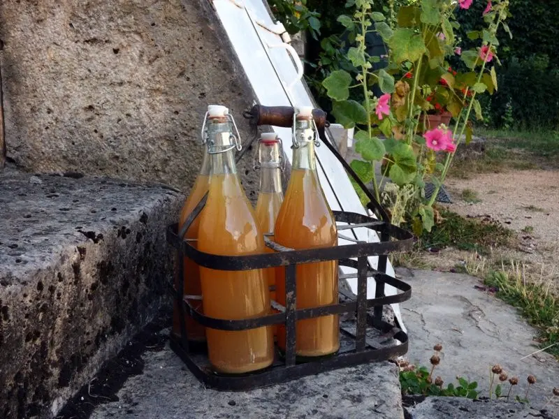 Gîte de France Pollen et propolis 2 Ohren