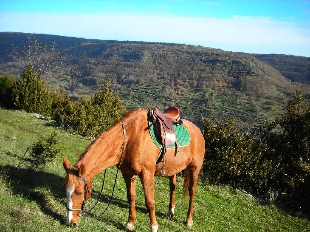 Kemping Les Lavandes3 Gwiazdy★★★