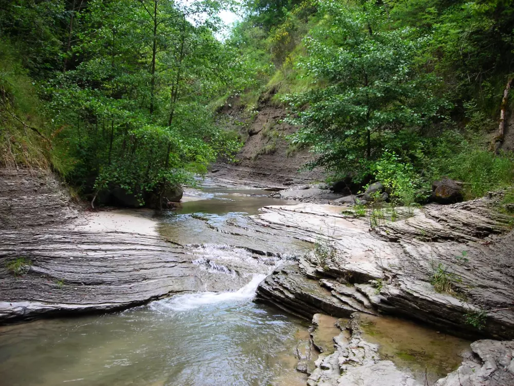 Kemping Les Lavandes3 Gwiazdy★★★