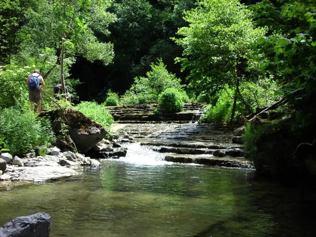 Camping Les Lavandes 3 Sterne★★★
