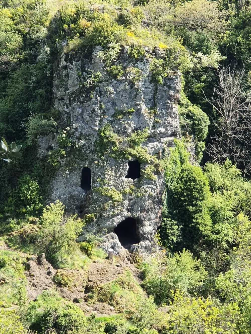 Kemping Les Lavandes3 Gwiazdy★★★