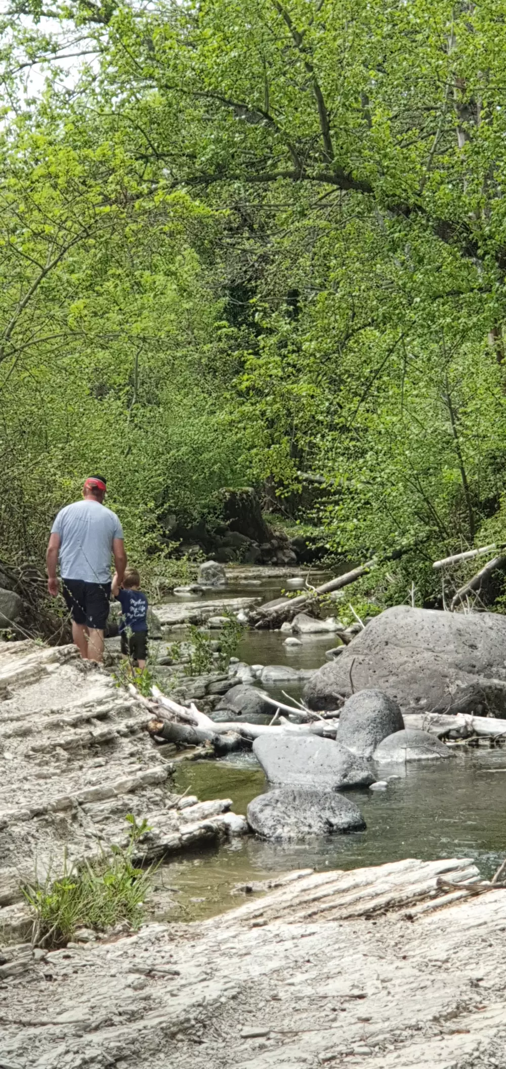 Kemping Les Lavandes3 Gwiazdy★★★