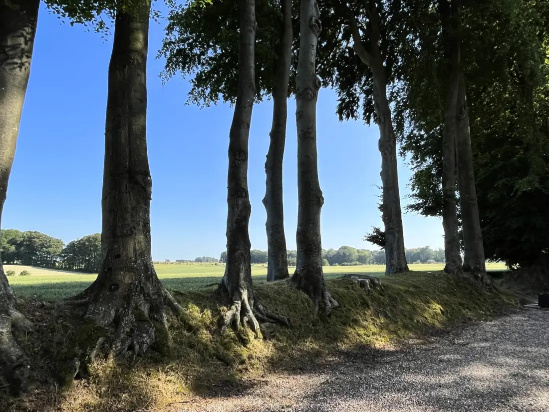 Gîte de France Gîtes de france® - a zárt mezők 3 fül