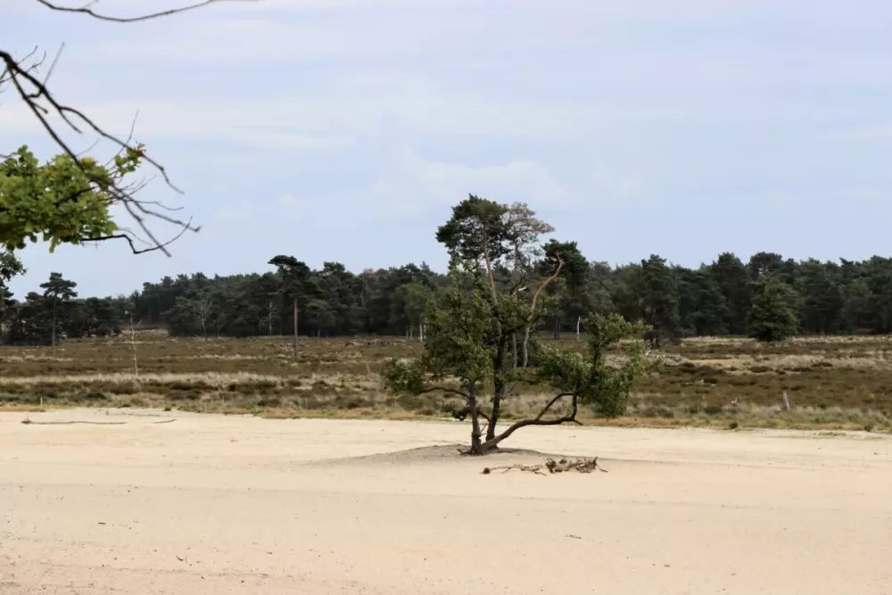 Camping de Zwammenberg