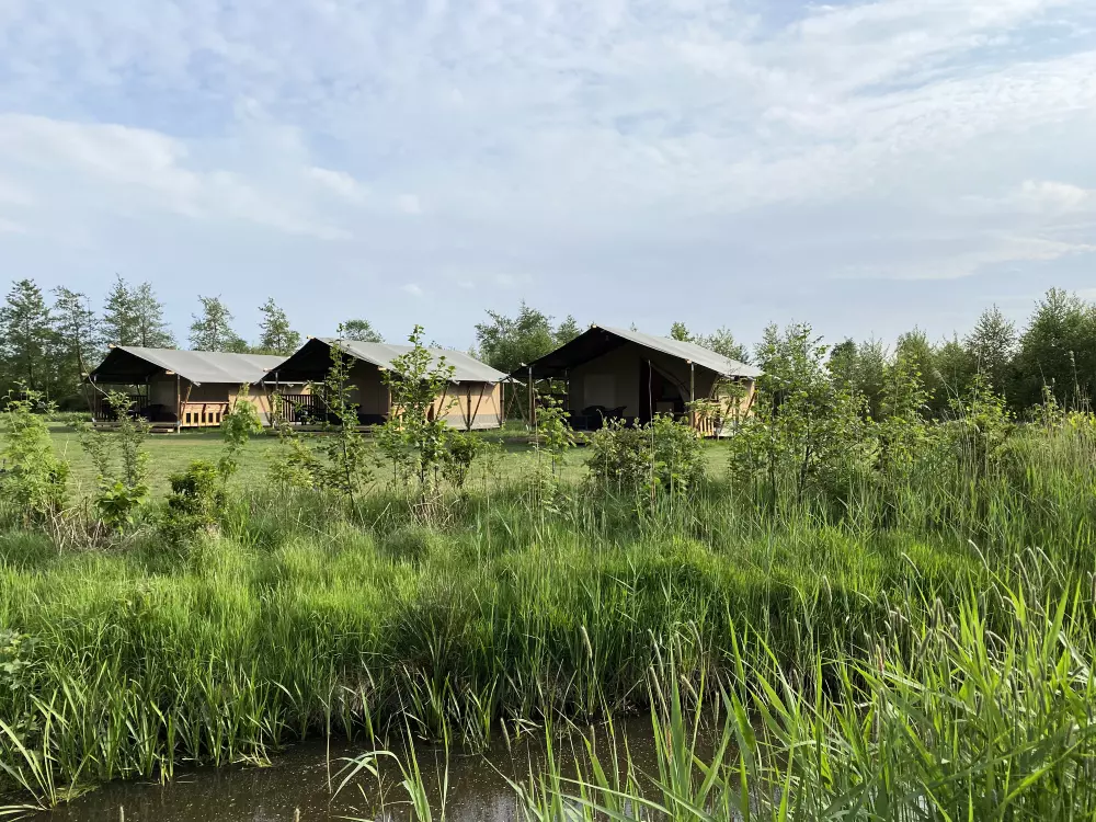 Camping Natuurlijk de Veenhoop (Vodatent)