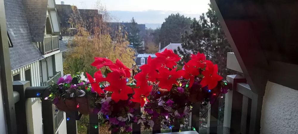 Rezydencja Les Embruns - maeva Strona główna