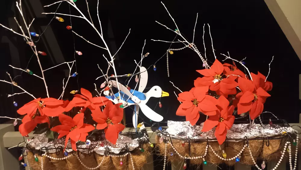 Rezydencja Les Embruns - maeva Strona główna