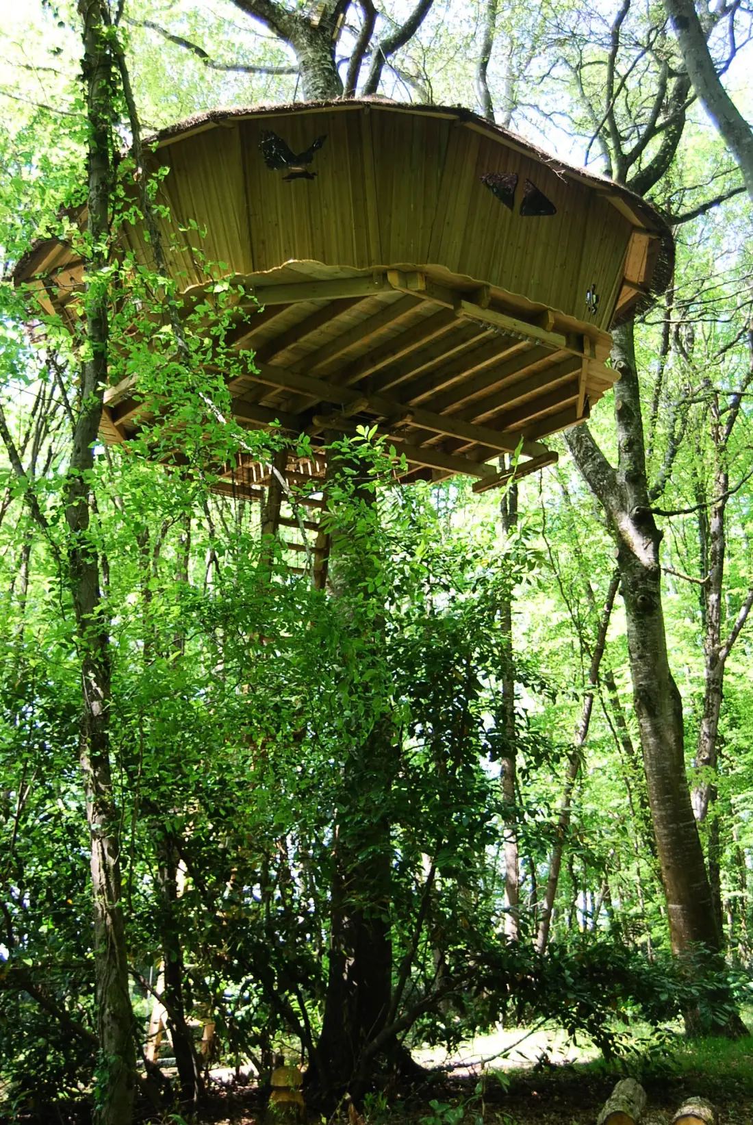 Belle Park