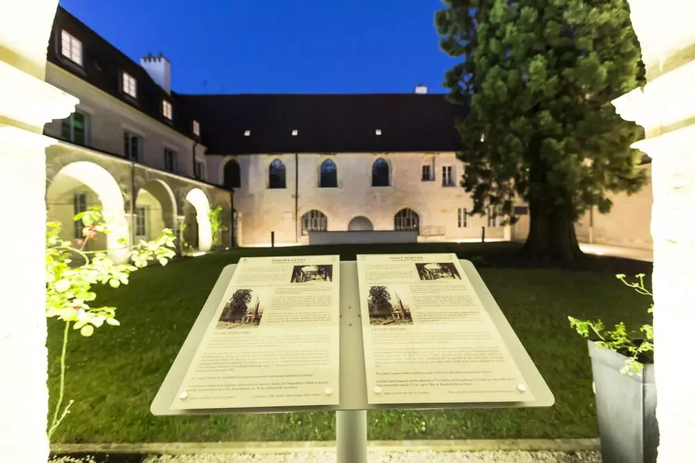 Appart'hôtel Odalys Les Cordeliers